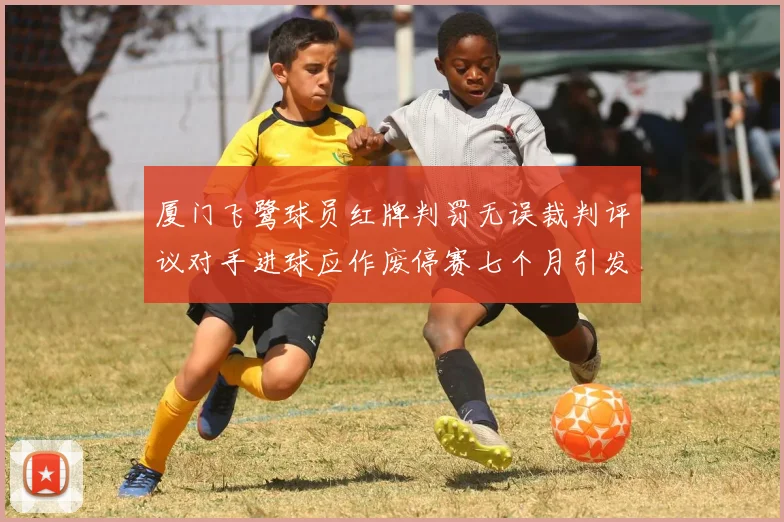 厦门飞鹭球员红牌判罚无误裁判评议对手进球应作废停赛七个月引发热议